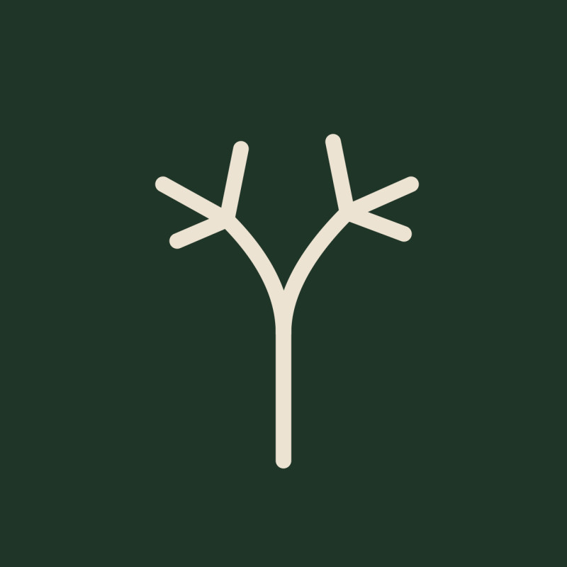 Eyr Holistic logo