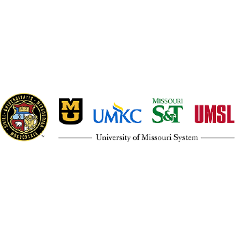 Umsystem logo
