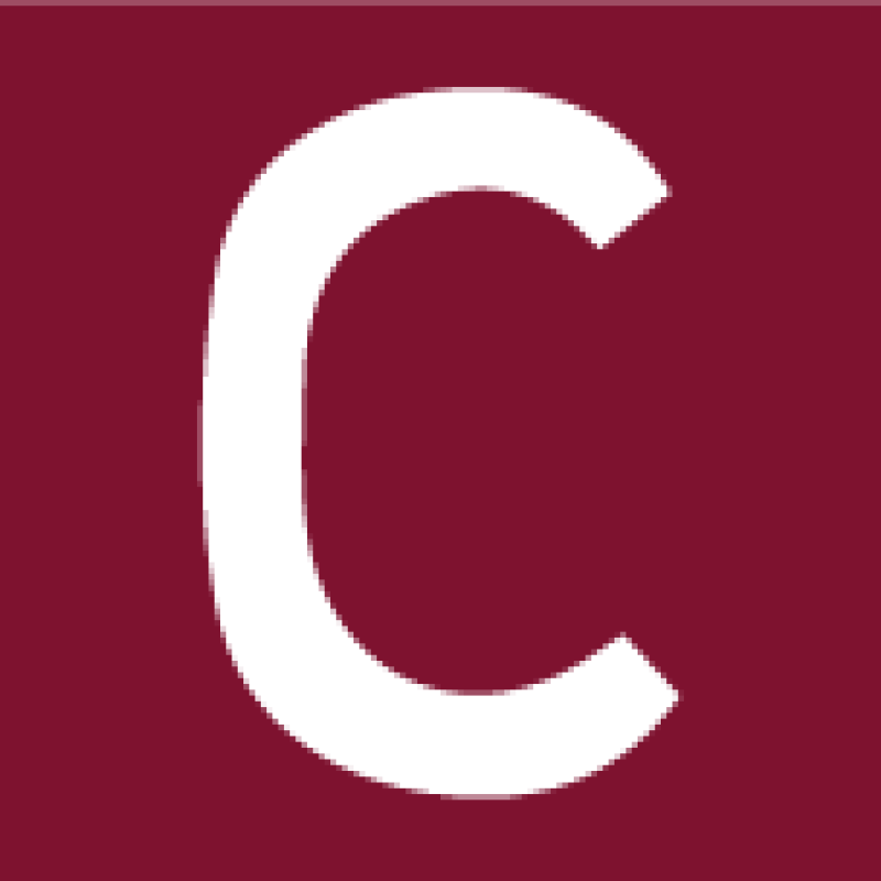 Strana.ua logo