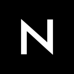 Napoleon IT logo