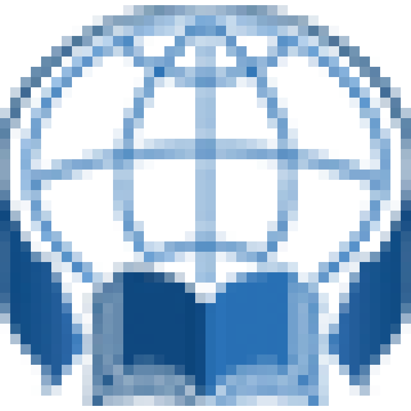INION RAS logo