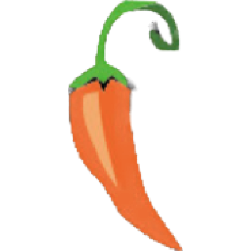 SpicyIP logo