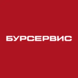 BurServis logo