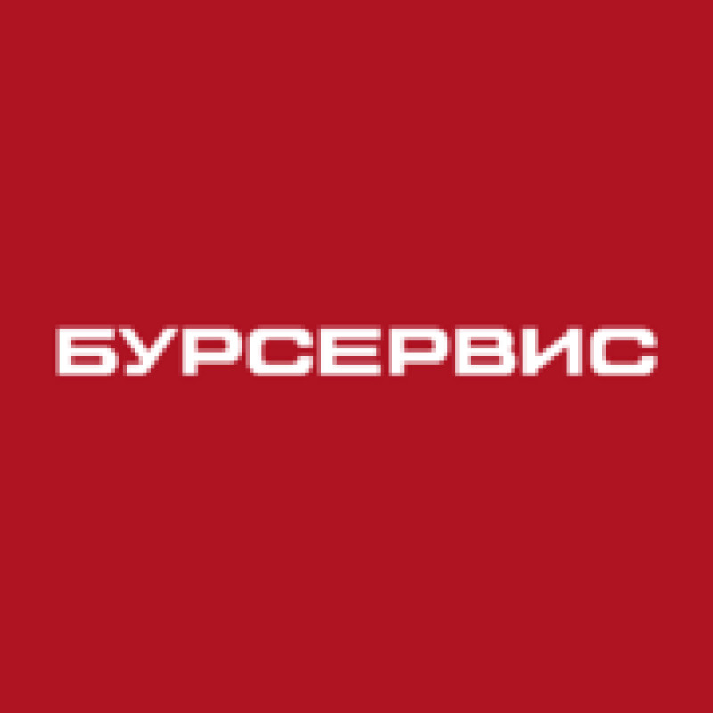 BurServis logo