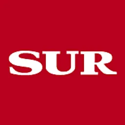 Diario Sur logo