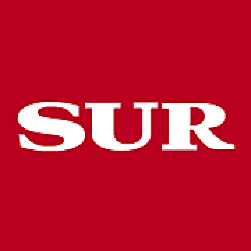 Diario Sur logo