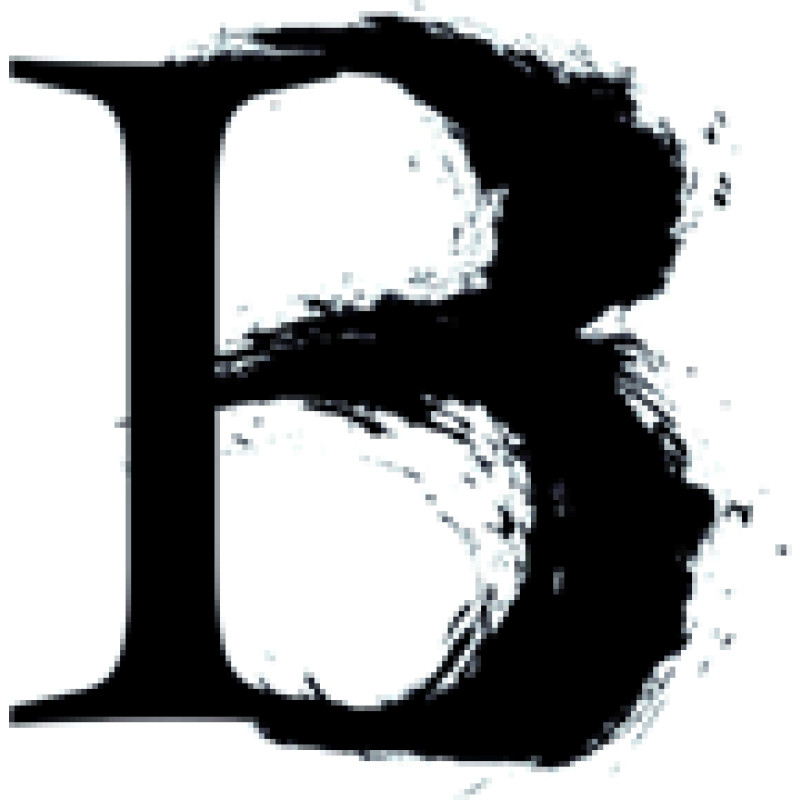 IT BOLTWISE x Artificial Intelligence logo
