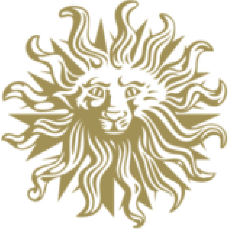 Publicisgroupe logo