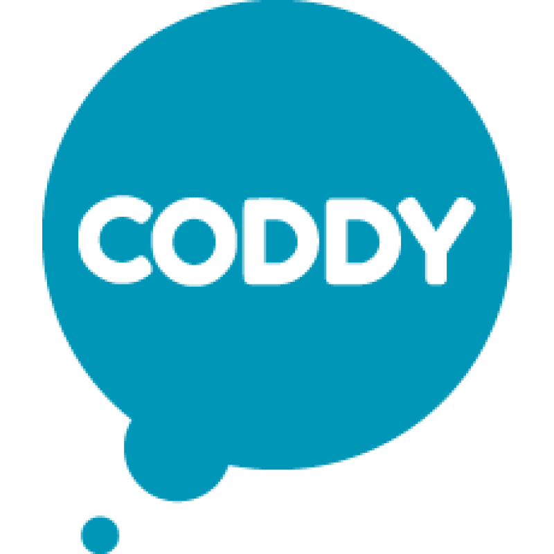 Coddyschool logo
