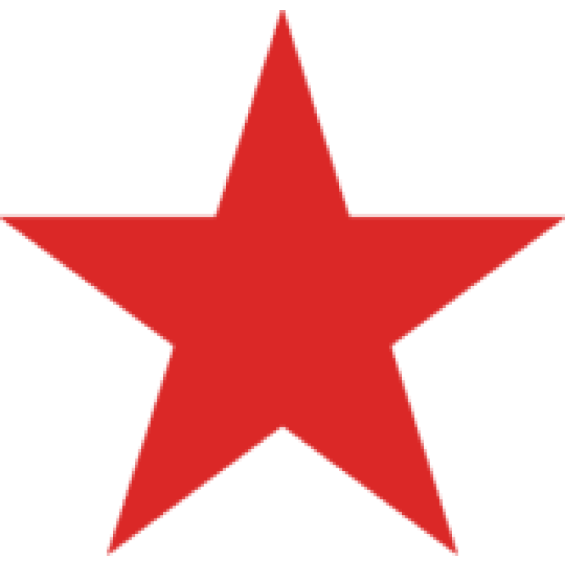 Thedailyblog