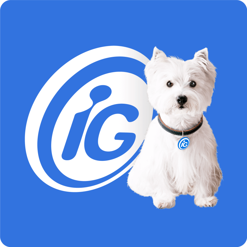 Portal iG logo