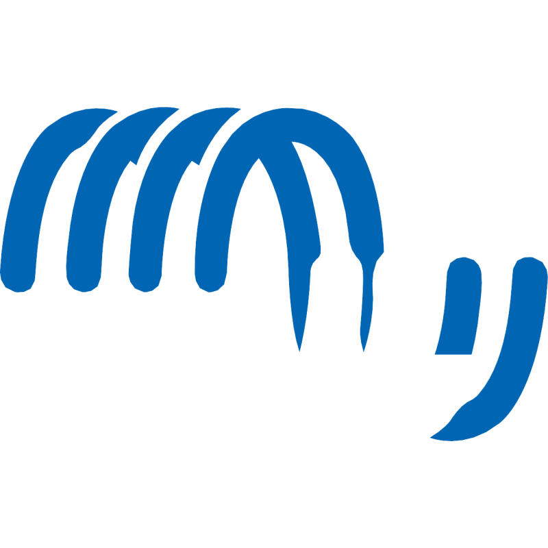 Victron Energy logo