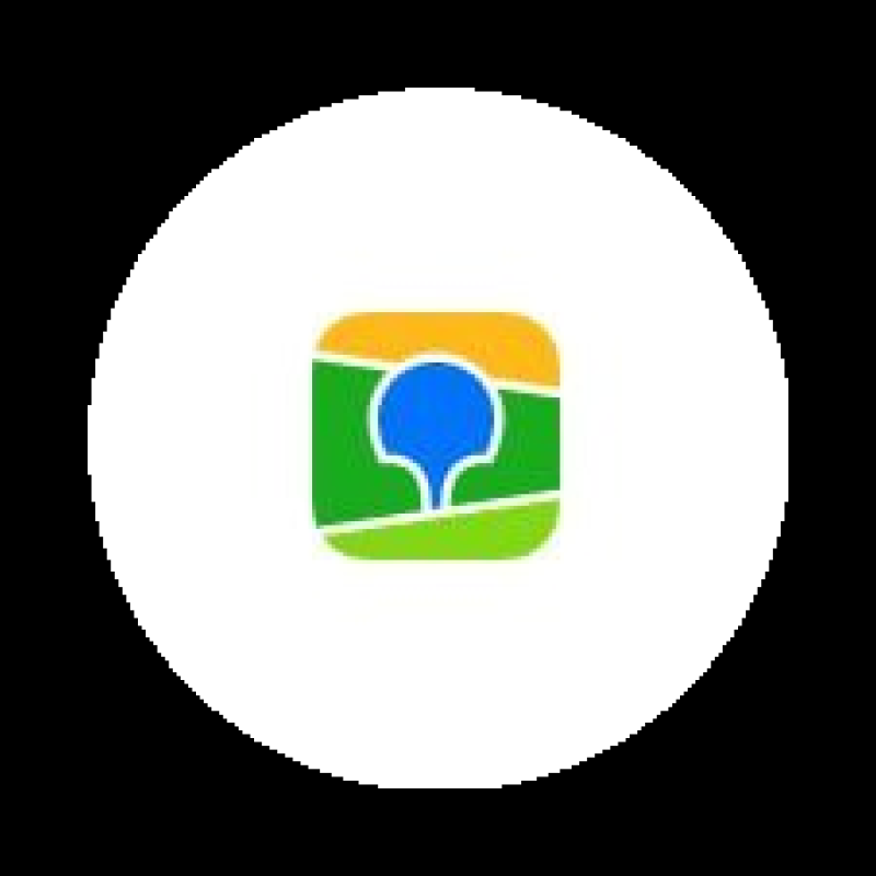 2Gis logo
