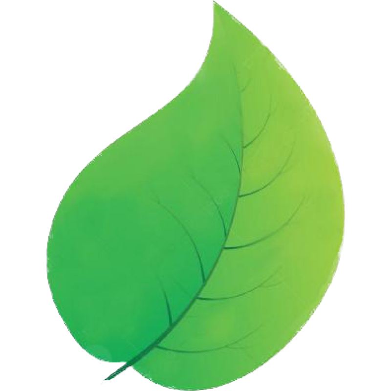 Main Class logo
