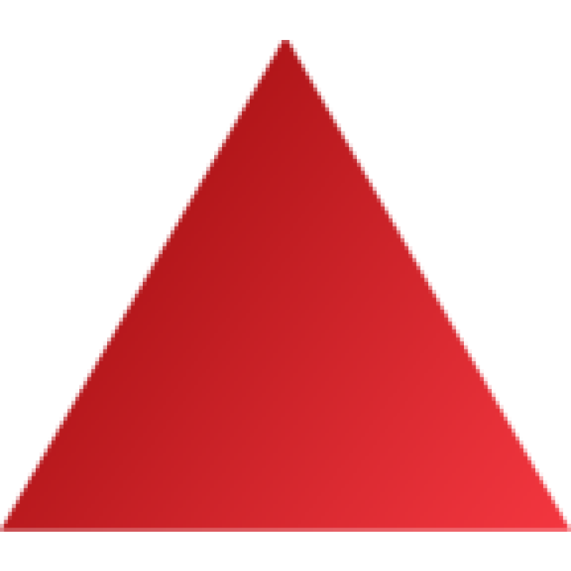 Magnat Professional logo