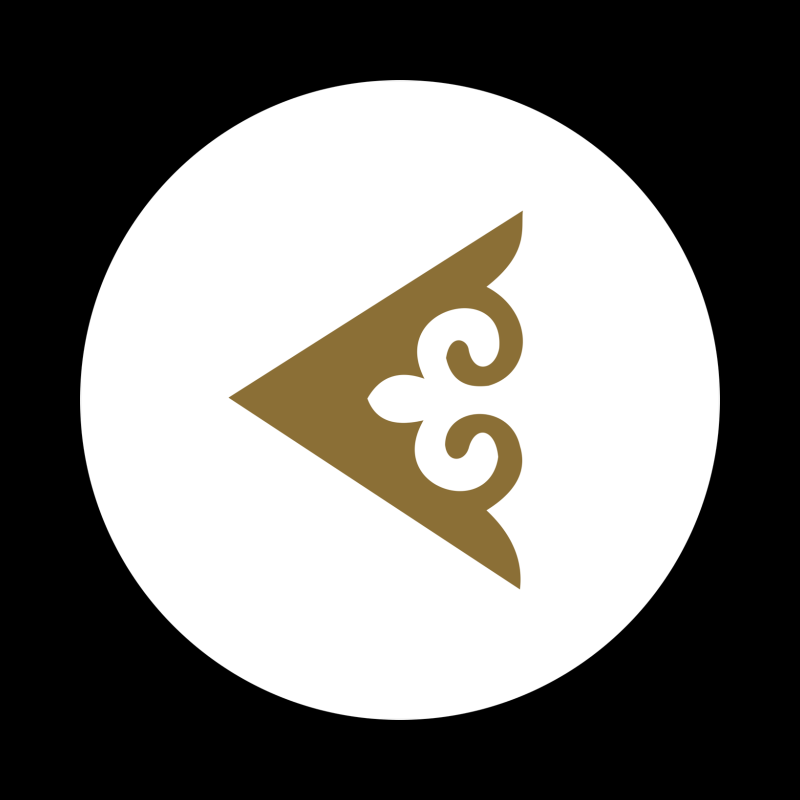 Airastana logo