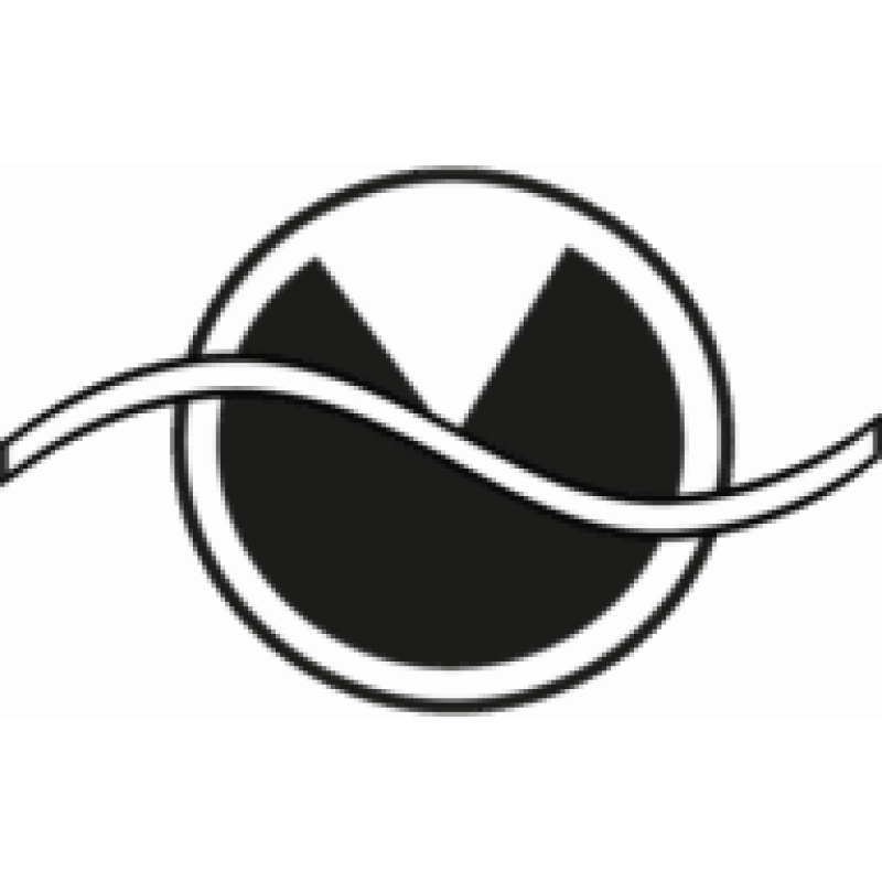 Research Institute of Television logo