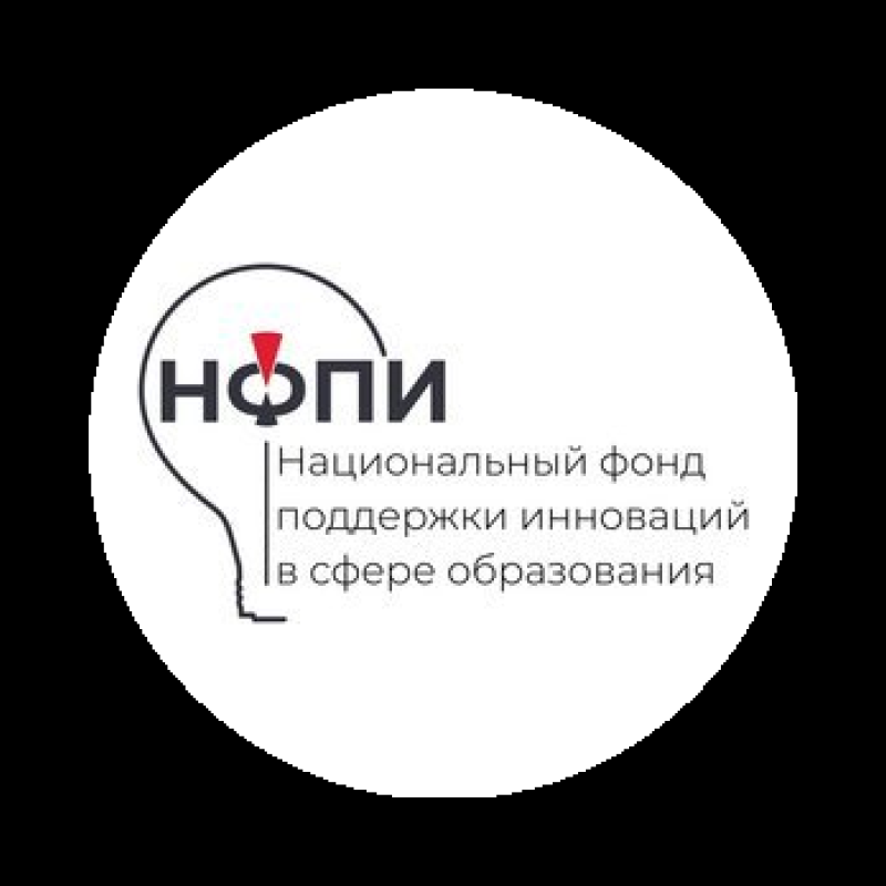National Foundation for Support of Innovations in Education logo