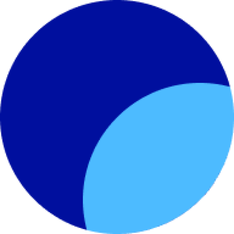OSON logo