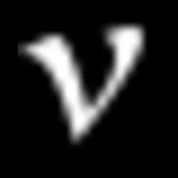 Venam logo