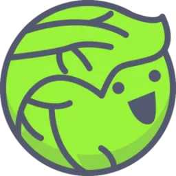 Dvsj logo
