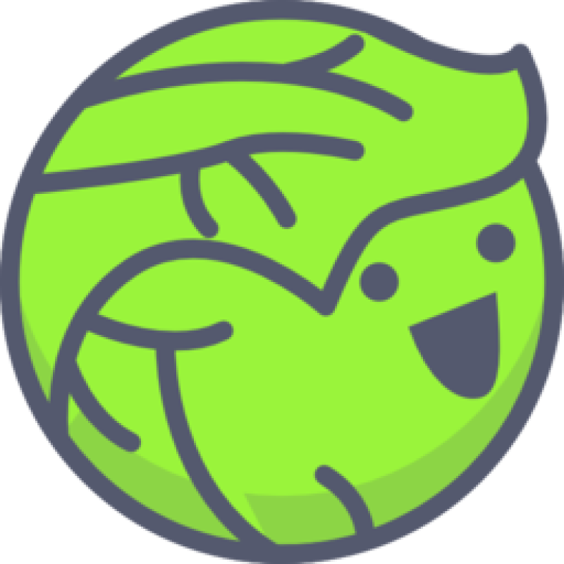 Dvsj logo