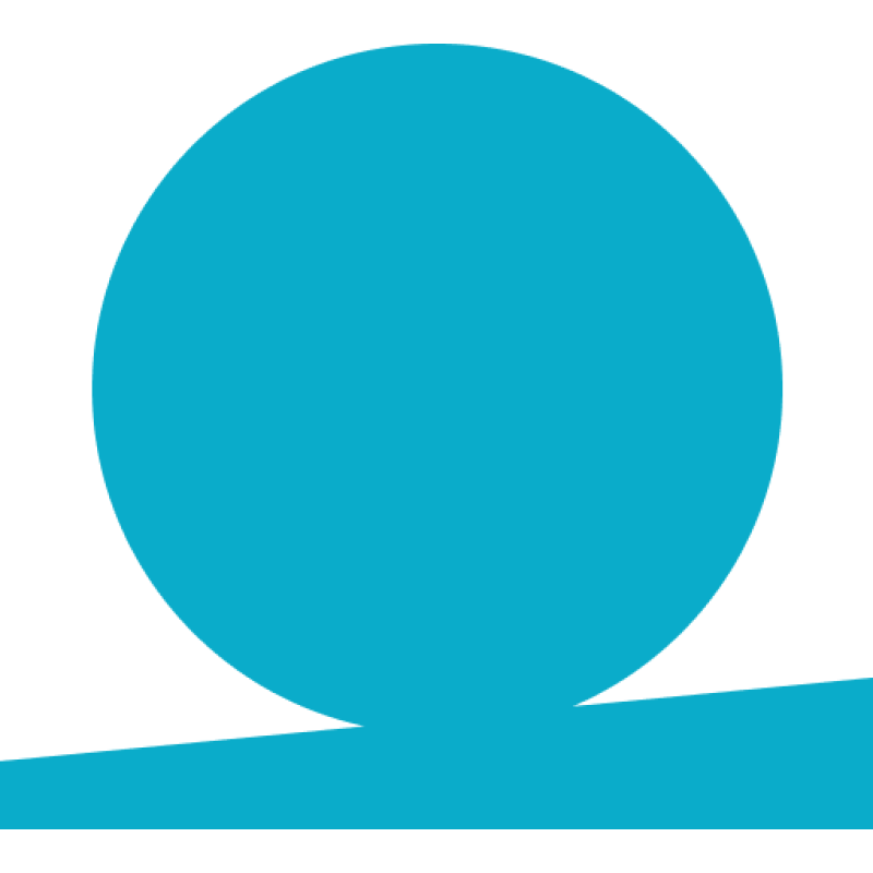 Saint Petersburg TV Channel logo