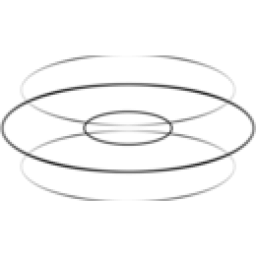 Torus logo