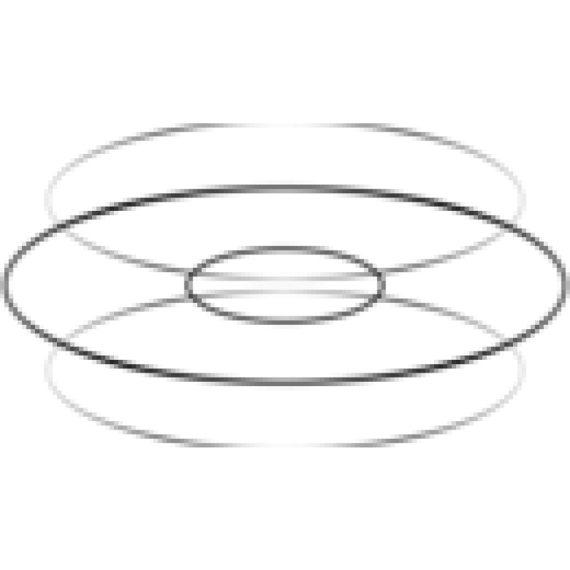 Torus logo