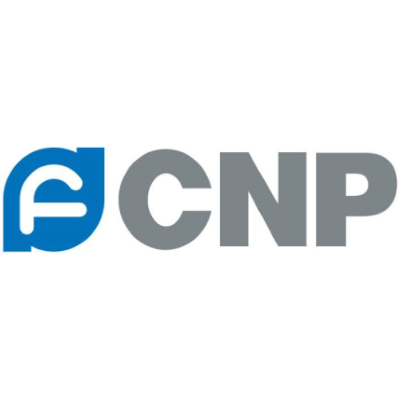 CNP Russia logo