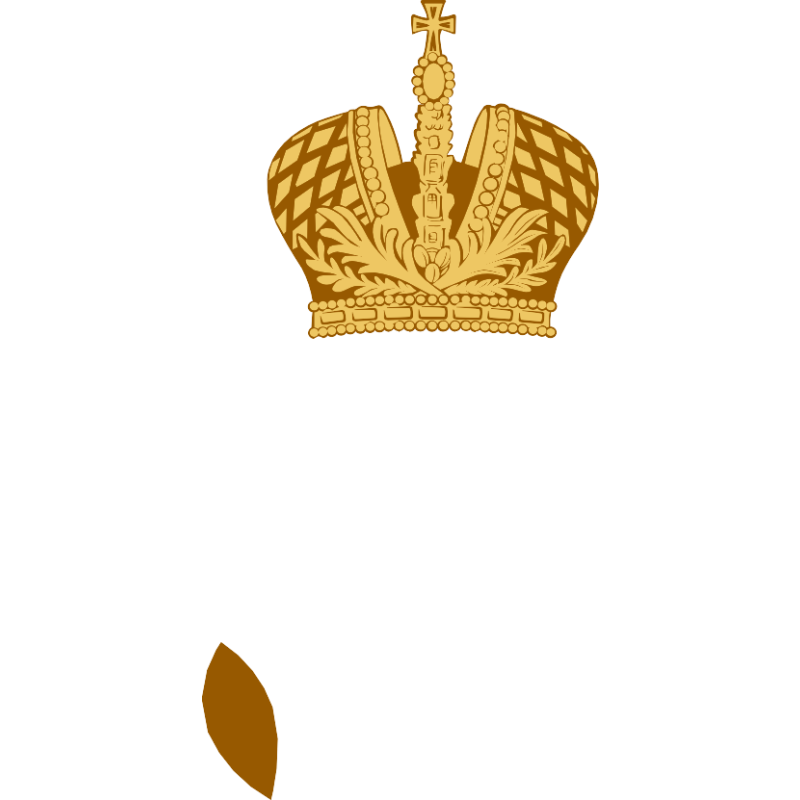 Saint Petersburg Mining University logo