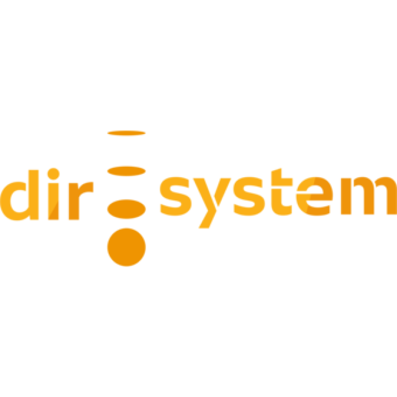 Dirsystem logo