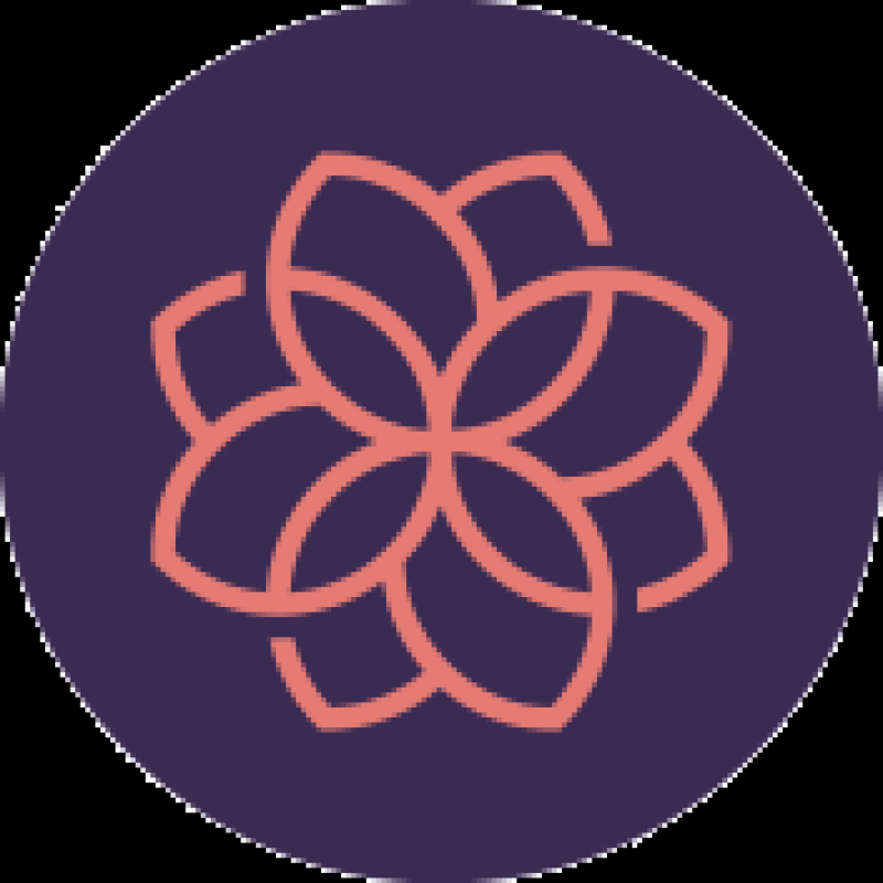 Rain logo