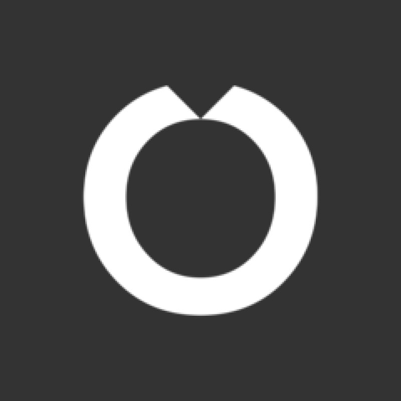 Bronnitsy Jewelry logo