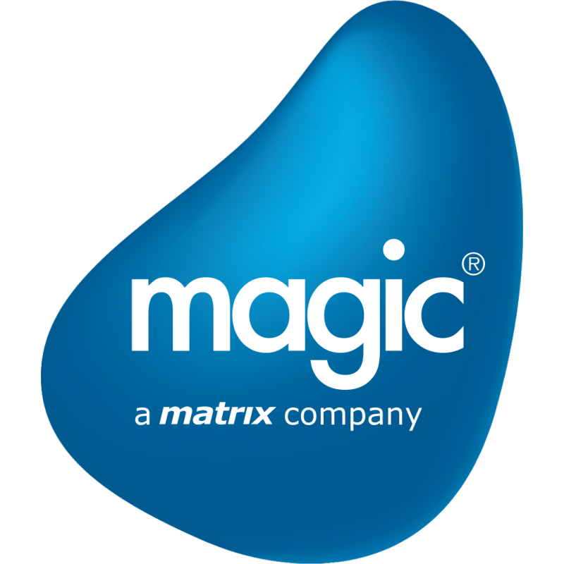 Magic Software Enterprises logo