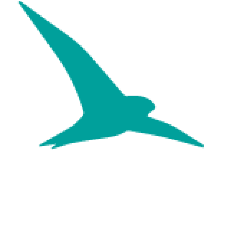 Rasan logo