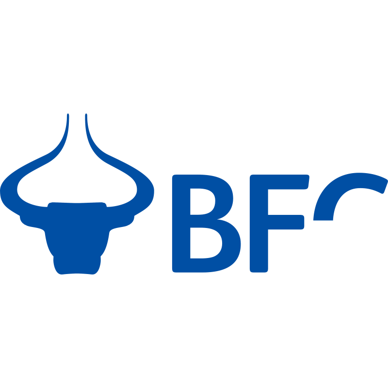 BFC Group logo