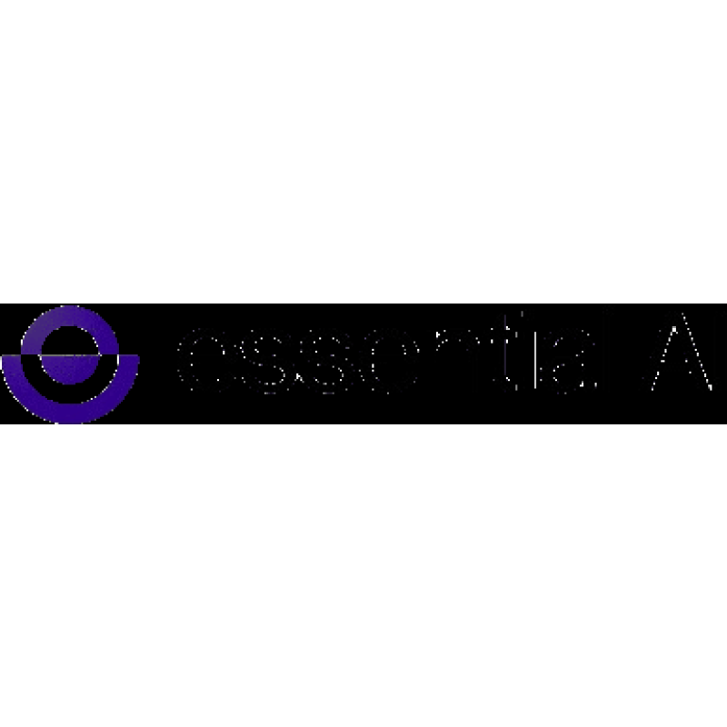 Essential AI logo