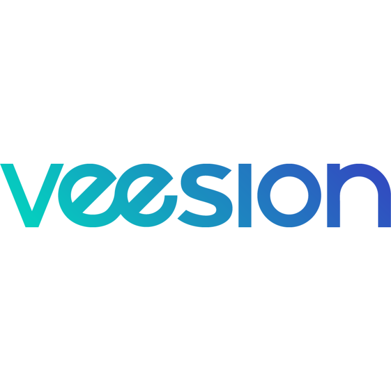 Veesion logo