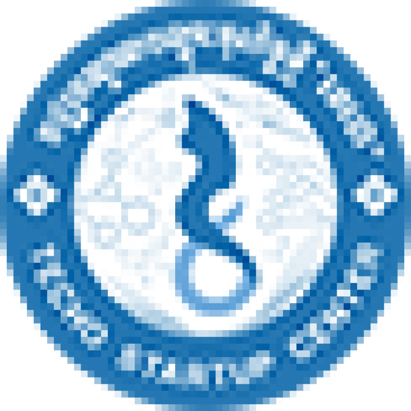 Techo Startup Center logo