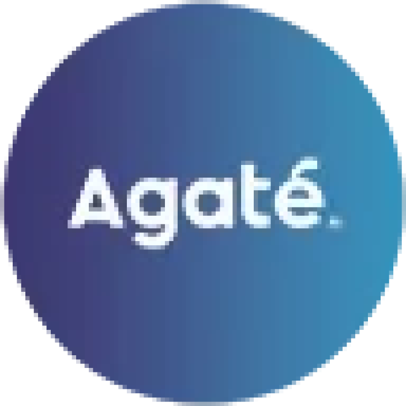 Agate logo