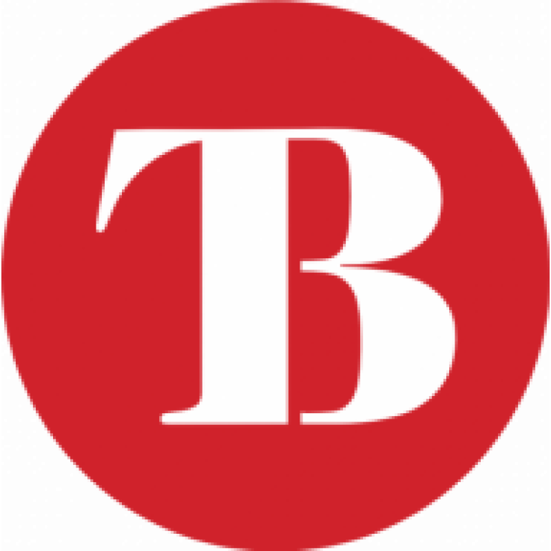 Thebull logo