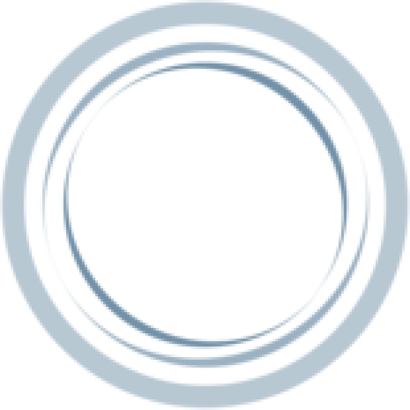 Noticias: CAMPA&Ntilde;A MANTENIMIENTO 2025 | Pieralisi logo