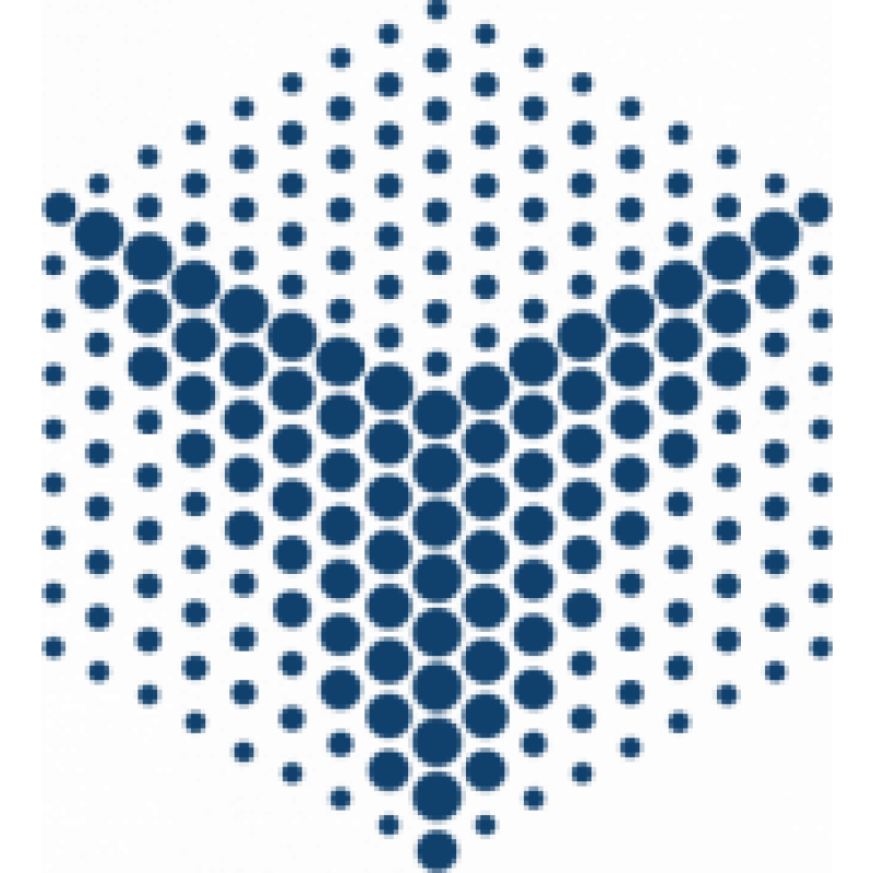 VinBigData logo