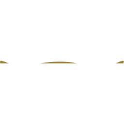 Omneky logo