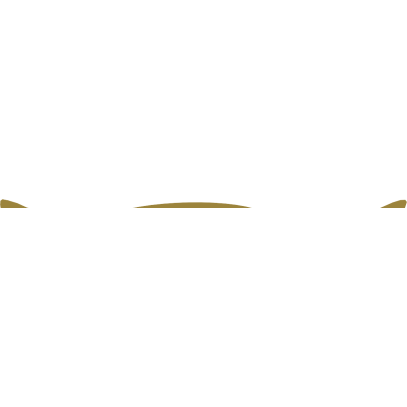 Omneky logo