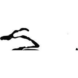 gazetesozcu logo