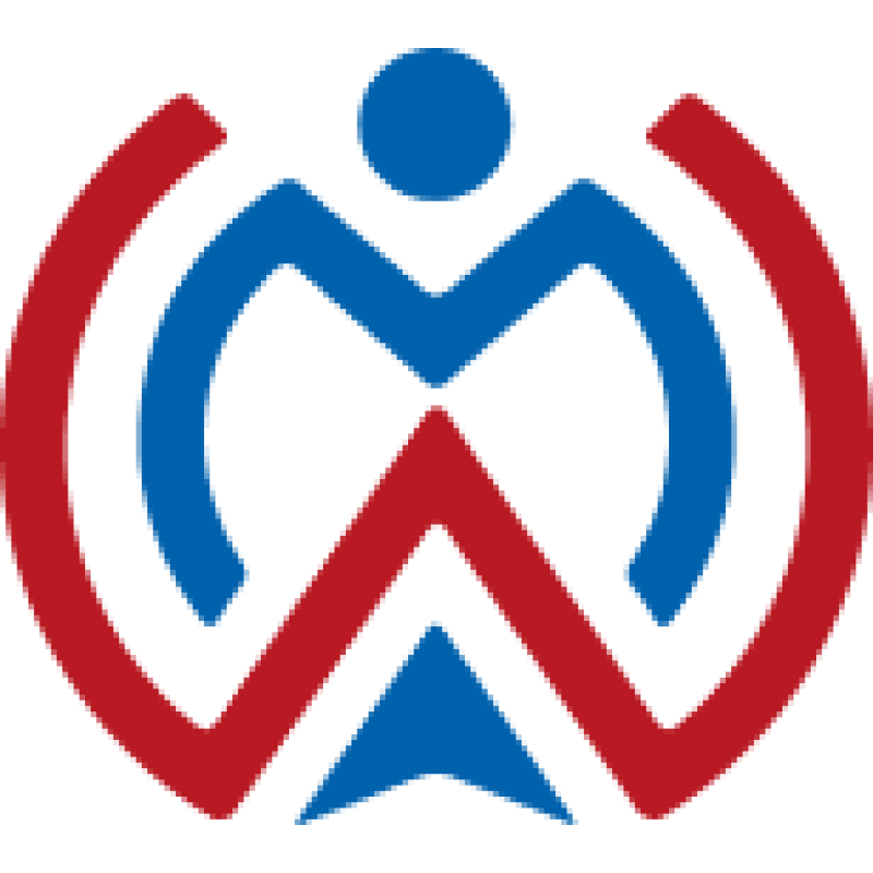 WebMasters logo