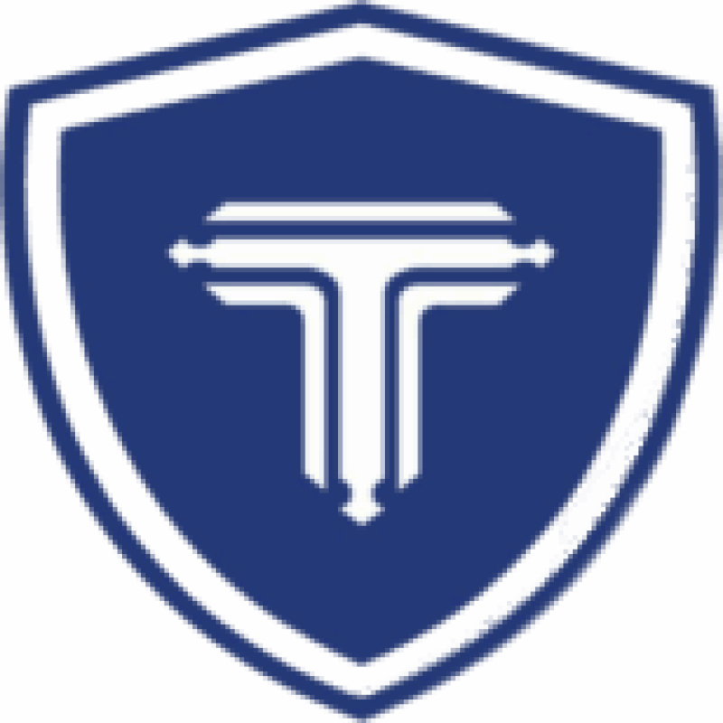 Triadacompany logo