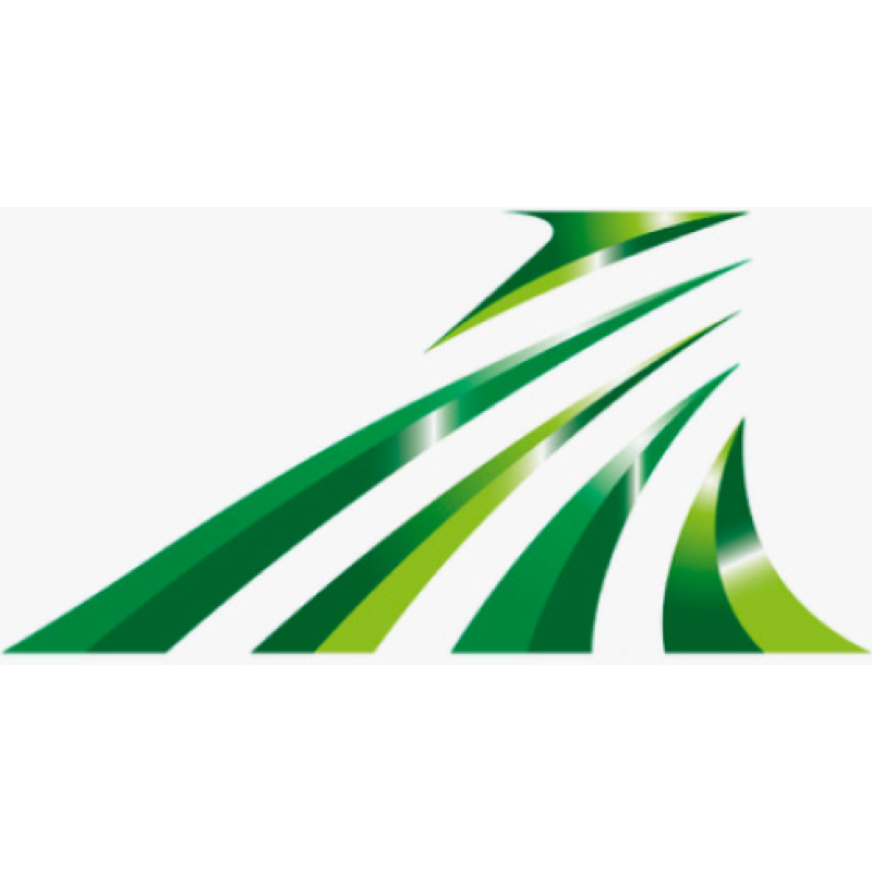 Rapidus logo